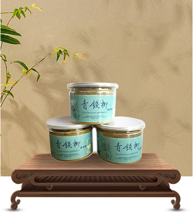 青钱柳破壁茶