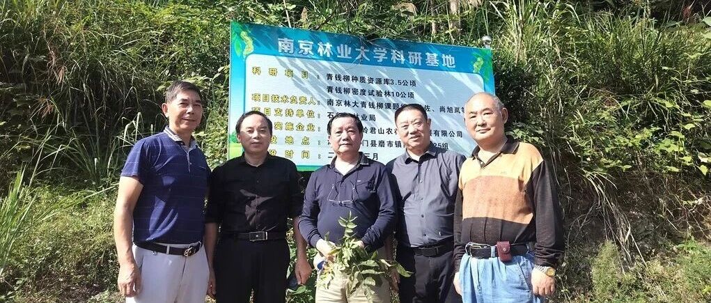 上海湖南商会赴湘 为壶瓶山青钱柳找 “出路”