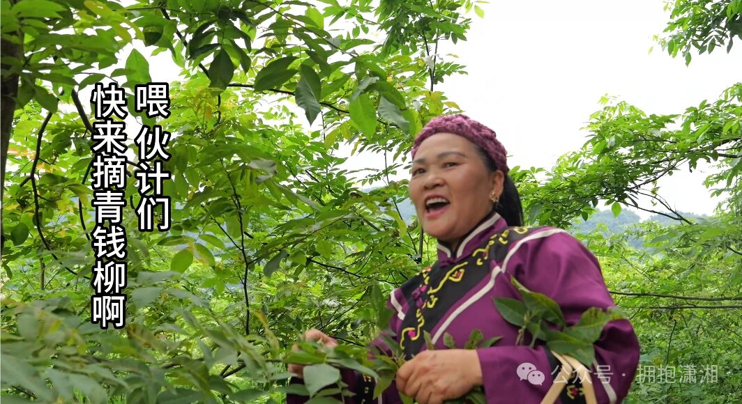 非遗传承走进商溪红谷